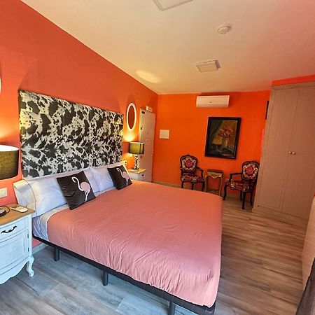 Museum Spa Guest House Sos del Rey Catolico Ngoại thất bức ảnh
