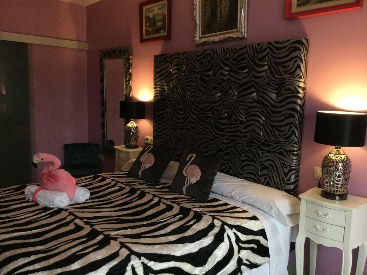 Museum Spa Guest House Sos del Rey Catolico Ngoại thất bức ảnh